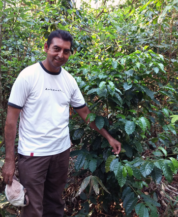 Juan Jose with Coffee Tree